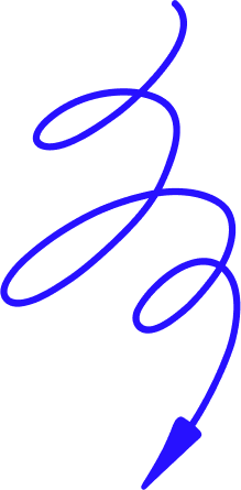 seta
